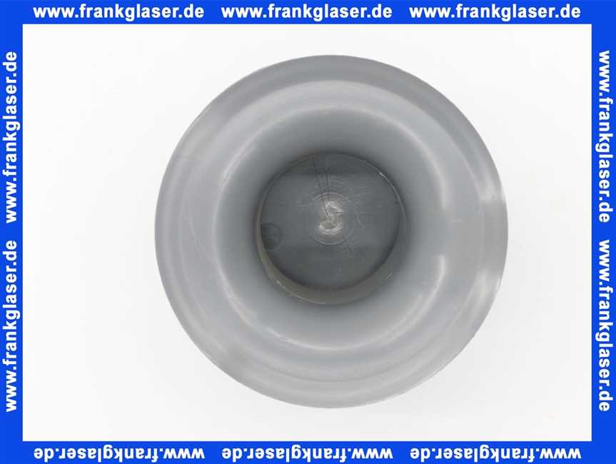 480941 Dallmer Siphon Einsatz und Tasse