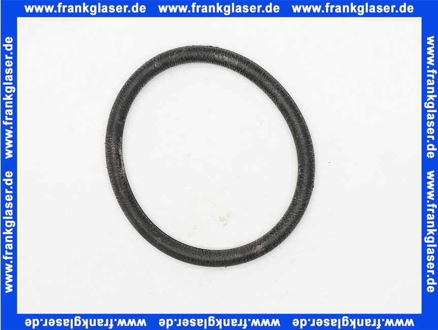 590169 Dallmer O-Ring Dichtung