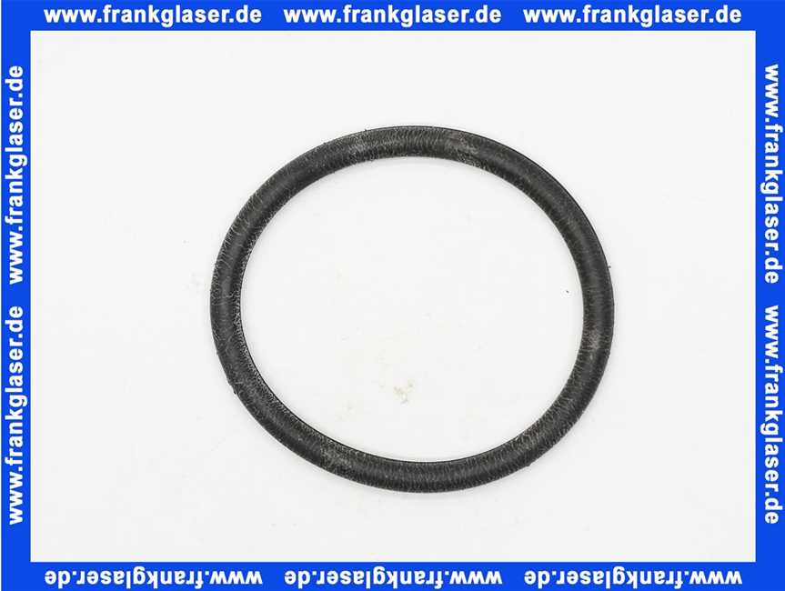 590169 Dallmer O-Ring Dichtung