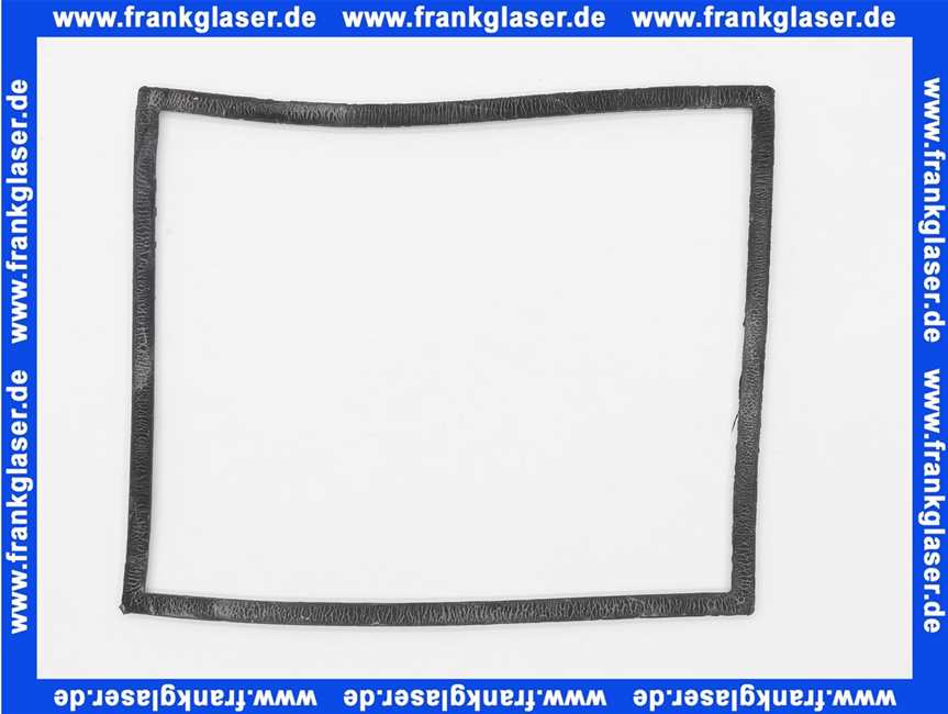 664044 Dallmer Gehäusedeckel-Dichtung zu Stausafe DN 150/200