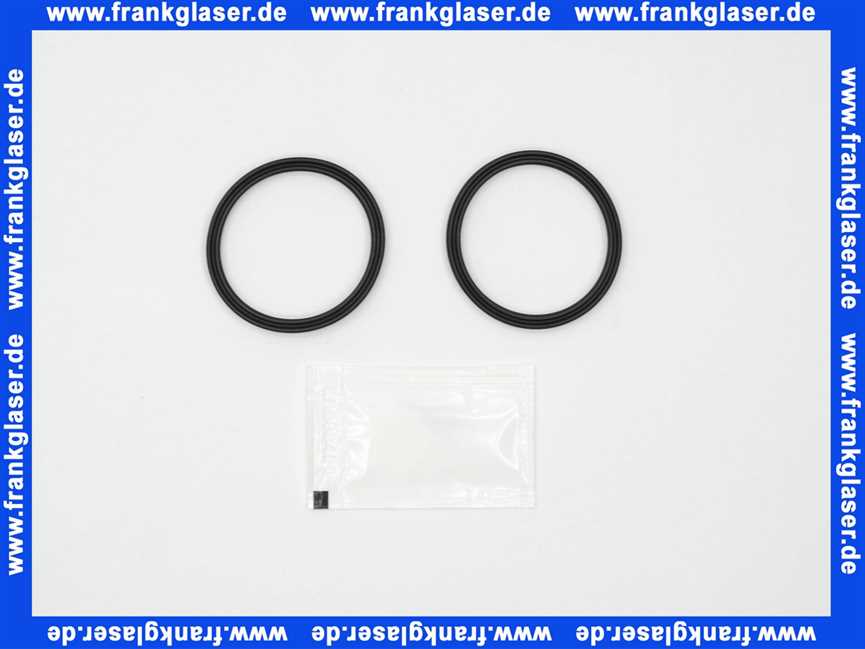 58051.00 Dichtungsringe für Schwenkbereich für Serie 50/54 (2 Stück)