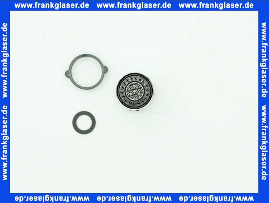 Damixa REPARATURSET KOPFBRAUSE CHROME 9310900