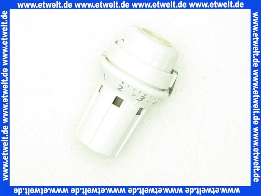 013G5010 Danfoss Fester Fühler RAW 5010