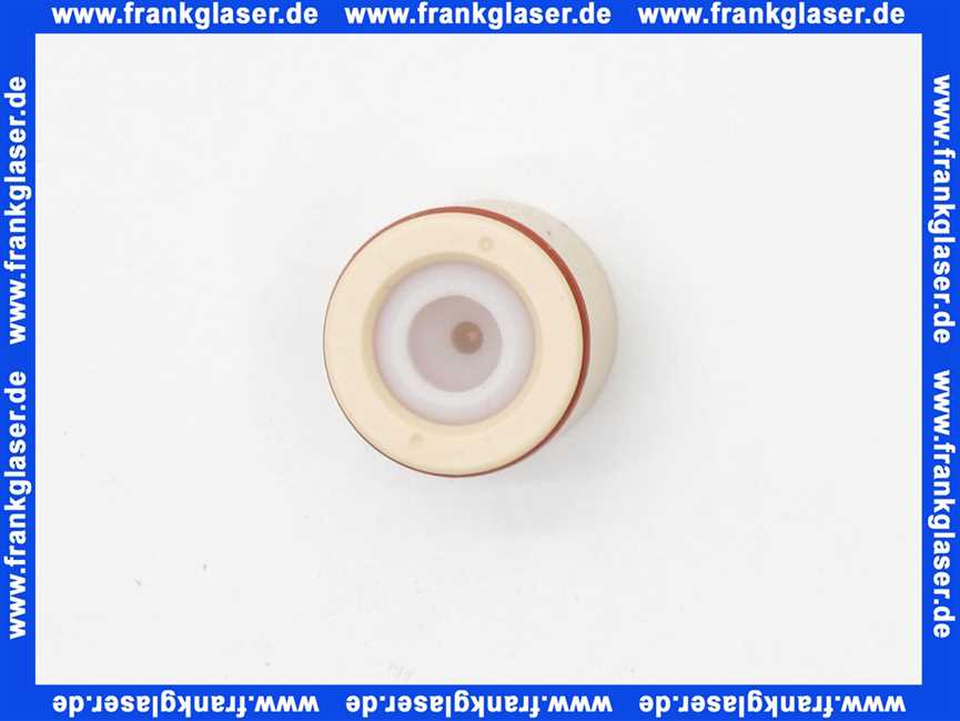 Dornbracht Rückflussverhinderer Ersatzteile 90230104500 D. 20 x 18 mm, ohne Begrenzu 9023010450090