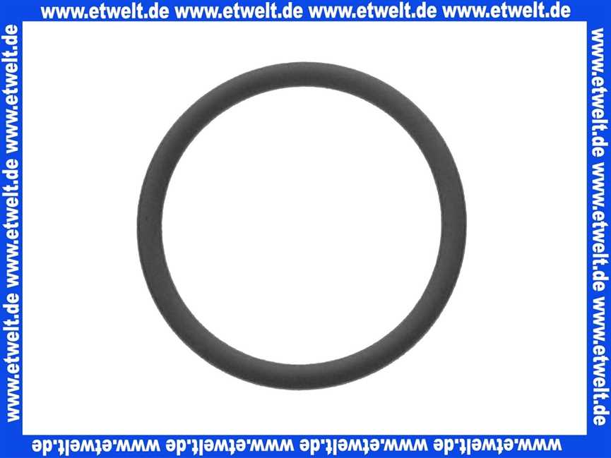 ELCO 13009631 O-Ring D 55 x 4 für Gaskopf