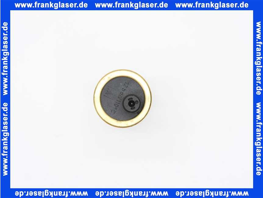 4478751595 Elco Entlüftungsventil G1/2Z Miron/Ultra W22