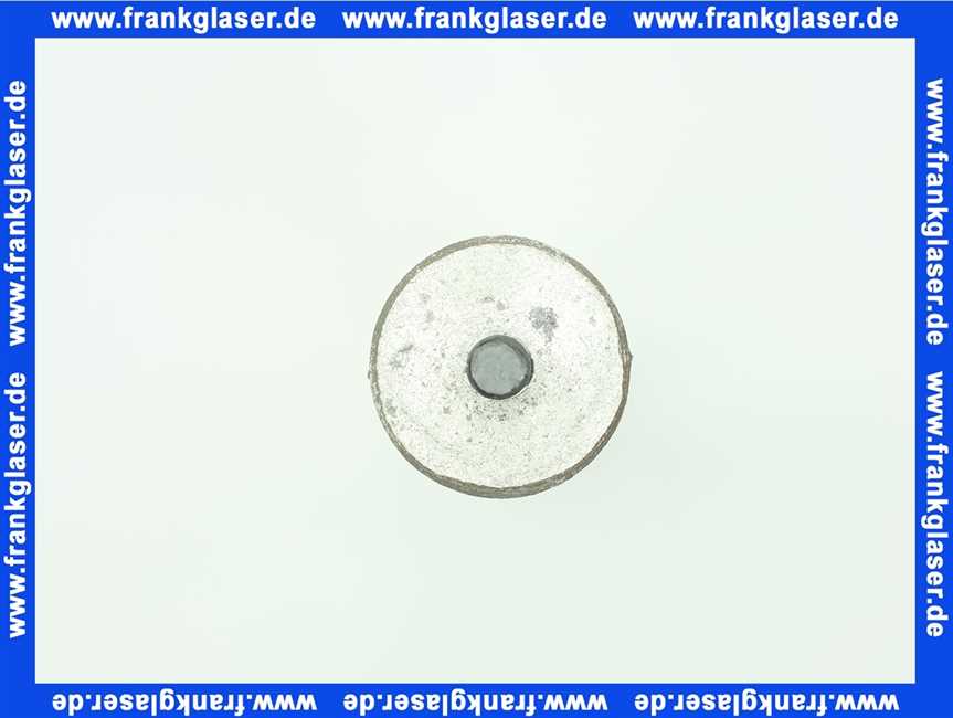 Elco ANODE D:33 L:350 M8 61314319