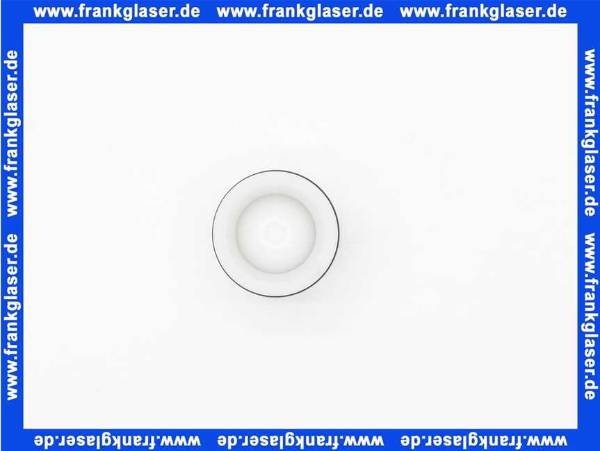 65000553 Elco Rueckschlagventil DN25 mit O-Ring Dichtung (THISION)