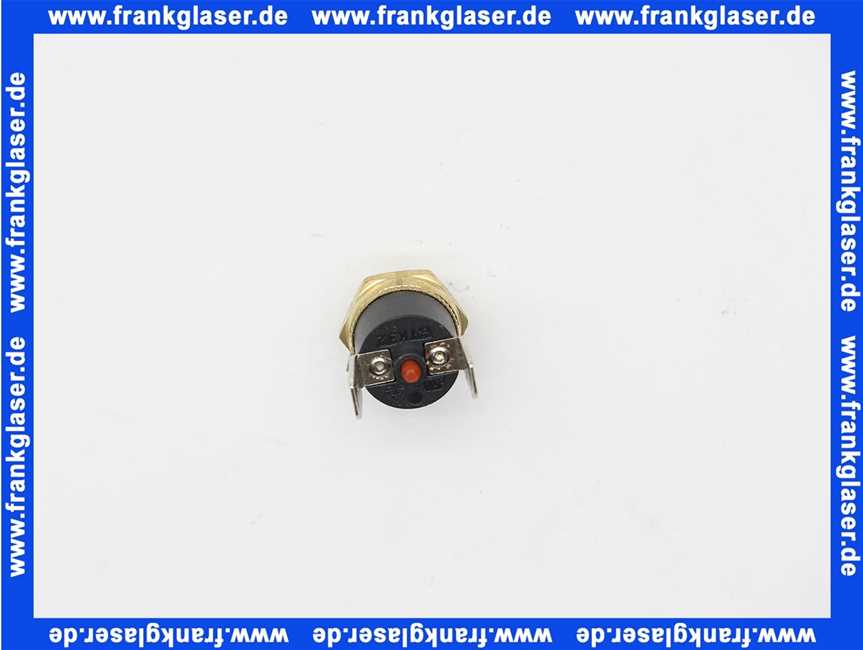 6500884400 Elco Abgas-STB Fühler M5x8 100°C