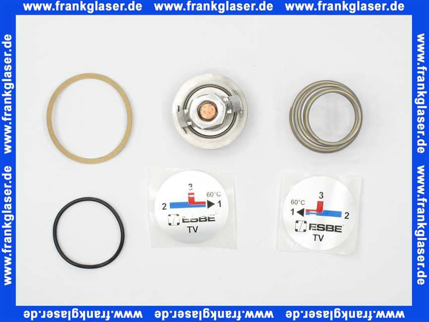 17006800 ESBE Einsatz TV 60 Grad Komplett