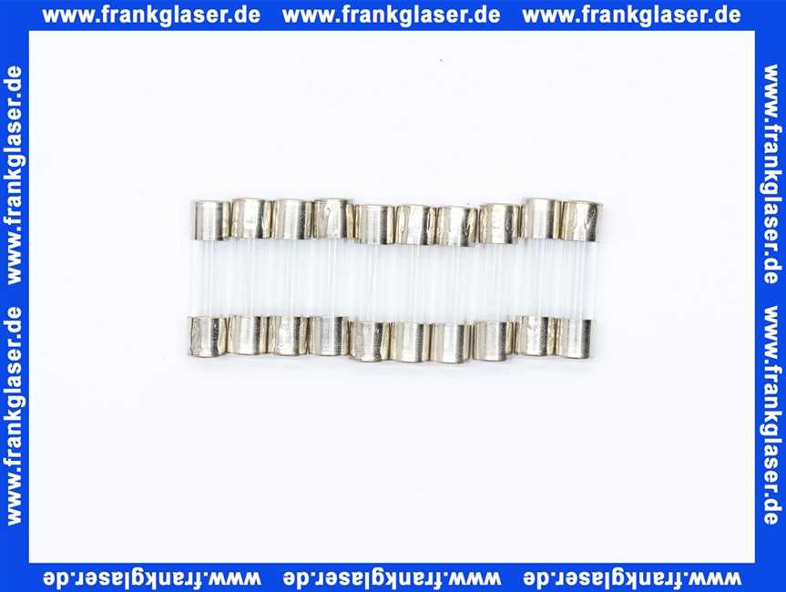 Feinsicherung träge 1 A 1 Beutel 10 Stück 6,3 x 32 mm
