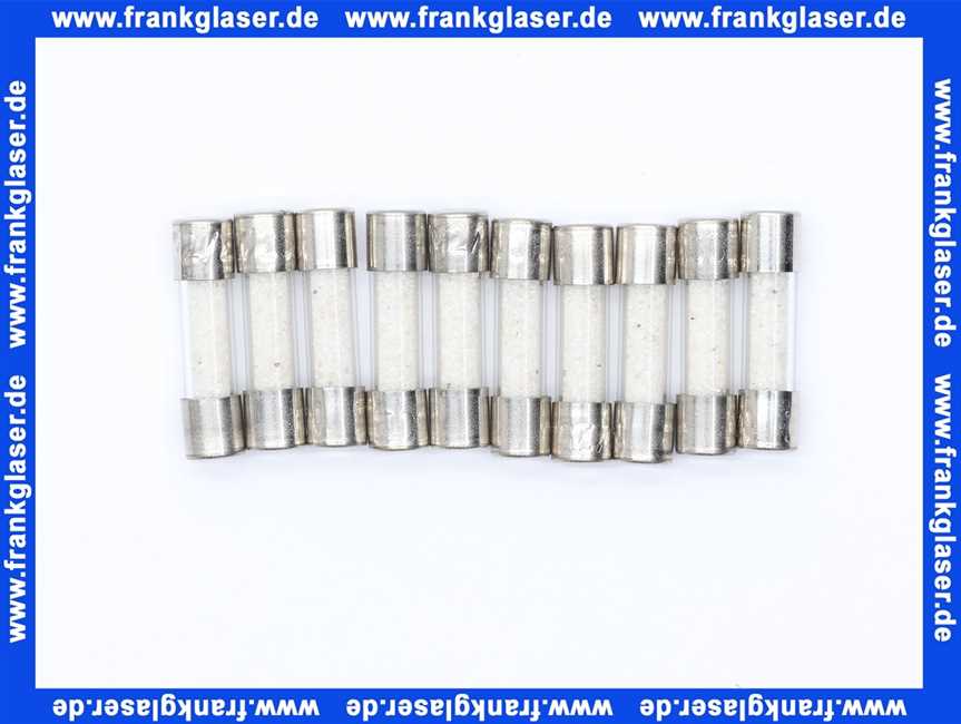 Feinsicherung träge 2 A 1 Beutel 10 Stück 6,3 x 32 mm