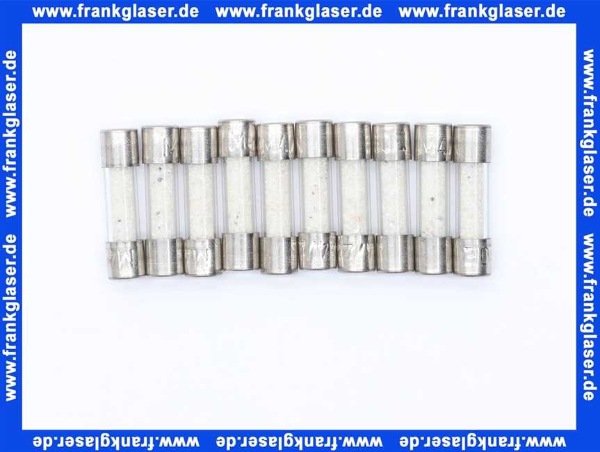 Feinsicherung träge 6,3 A 1 Beutel 10 Stück 6,3 x 32 mm