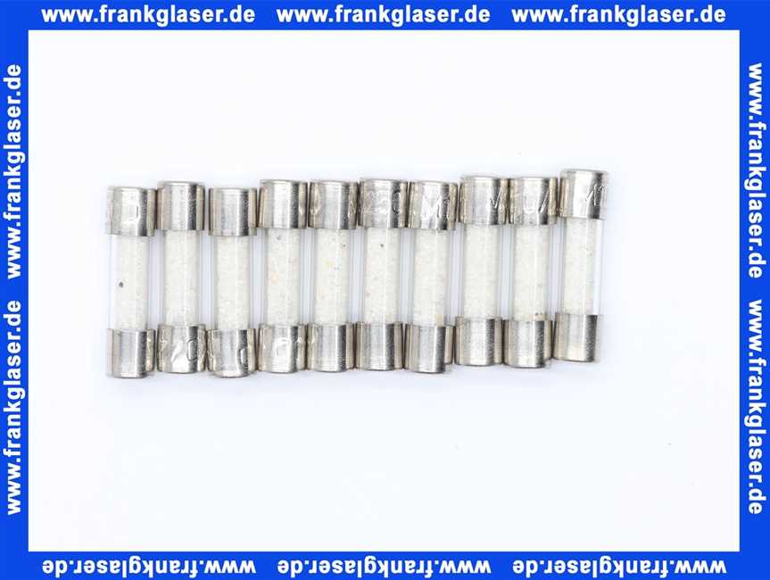 Feinsicherung träge 10 A 1 Beutel 10 Stück 6,3 x 32 mm