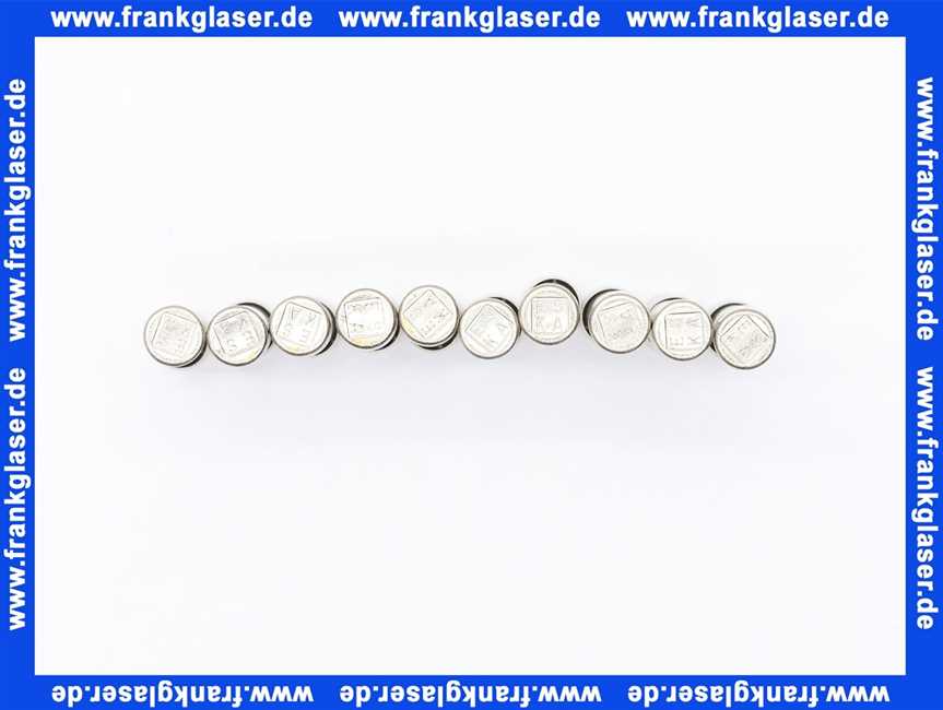 Feinsicherung träge 10 A 1 Beutel 10 Stück 6,3 x 32 mm