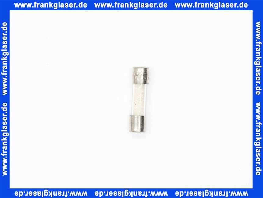 Feinsicherung träge 10 A 1 Beutel 10 Stück 6,3 x 32 mm