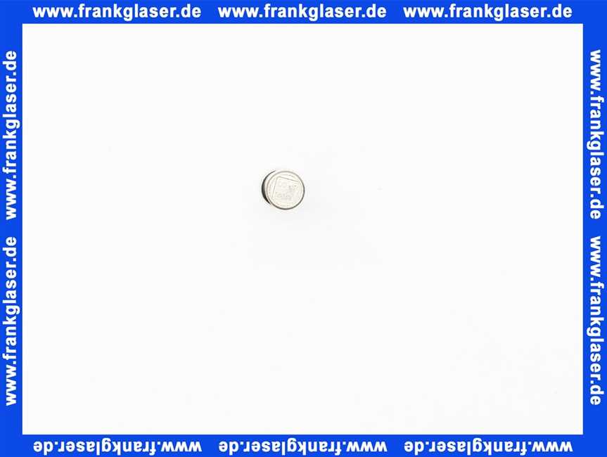 Feinsicherung träge 10 A 1 Beutel 10 Stück 6,3 x 32 mm