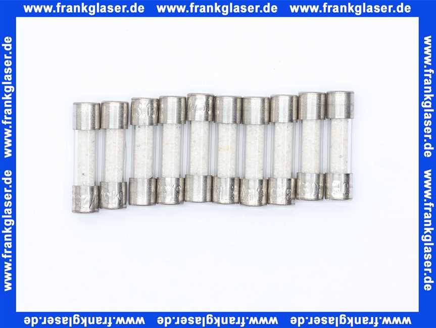 Feinsicherung träge 16 A 1 Beutel 10 Stück 6,3 x 32 mm
