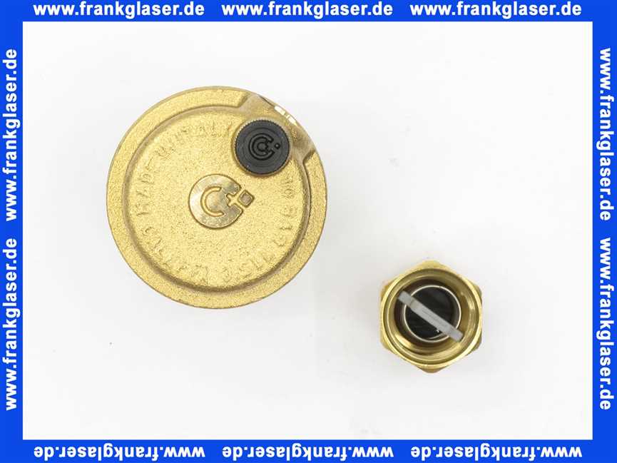 Automatischer Schnellentlüfter Robocal Typ 5027 Messing sandgestr.m.Absperrv.