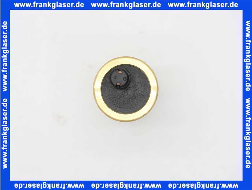 Schnellentlüfter 1/2'' - DN15 ( ) AG - Betriebsdruck: max. 12 bar - Betriebstemperatur: max. 110C