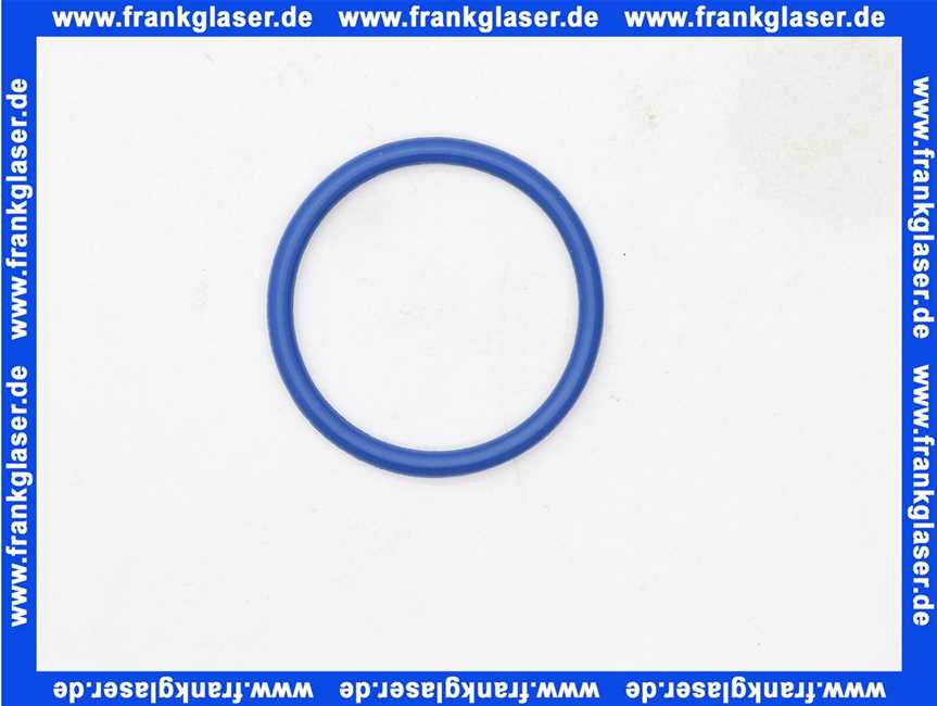 Geberit O-Ring für Duscharm zu Geberit AquaClean 8000 / 8000plus 240665001