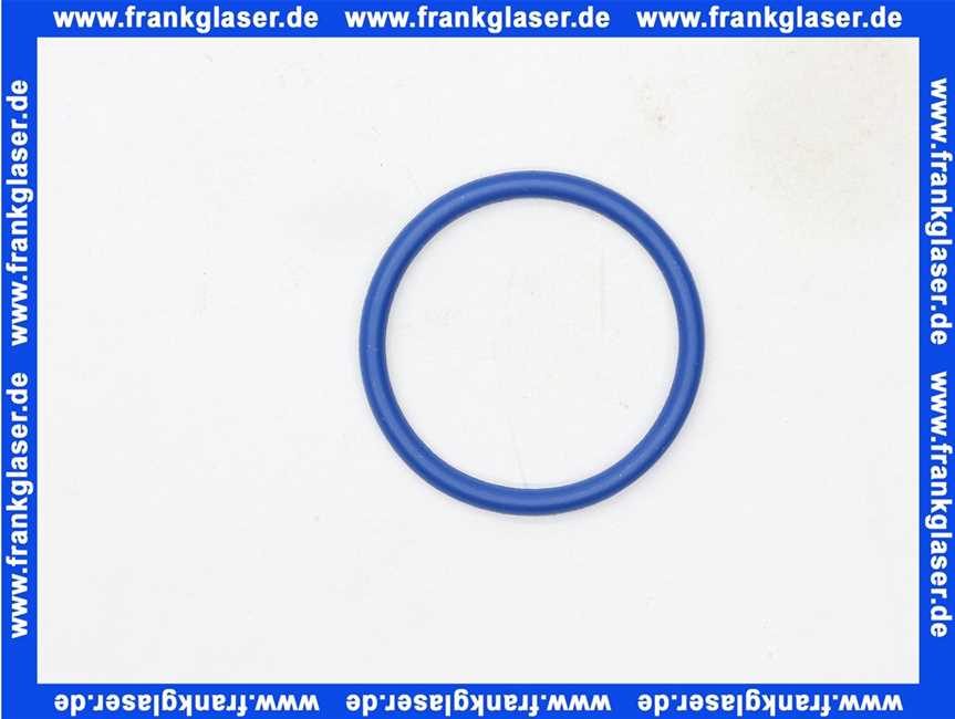 Geberit O-Ring für Duscharm zu Geberit AquaClean 8000 / 8000plus 240665001