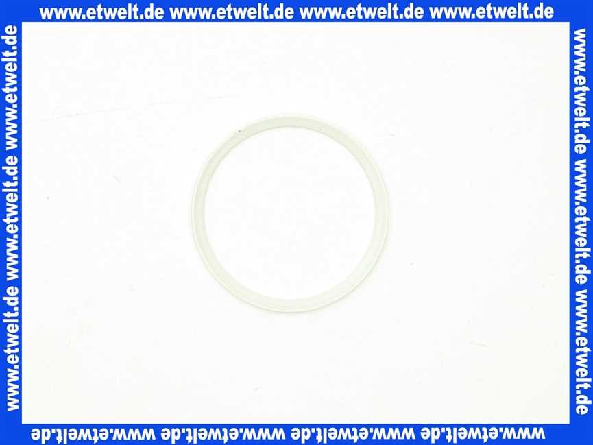 89172111 Geberit Schleifring