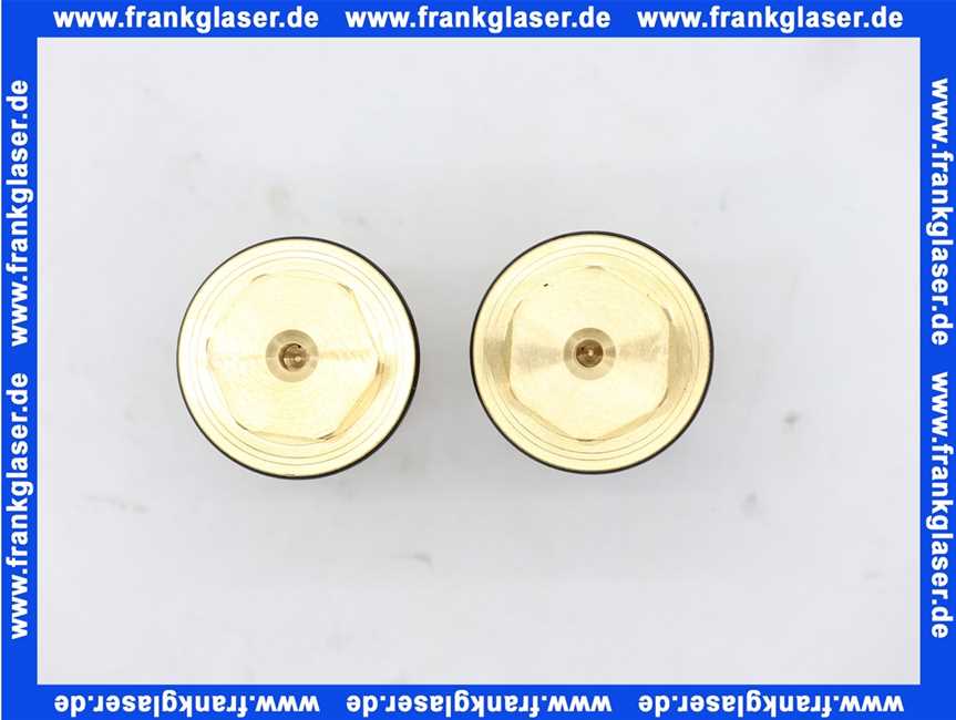 1411700M Grohe Rückflussverhinderer 3/4 ab Baujahr 81 (Satz mit 2 Stück)