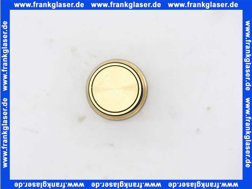 14117 Grohe Rückflussverhinderer 3/4 ab Baujahr 1981 1 Stück