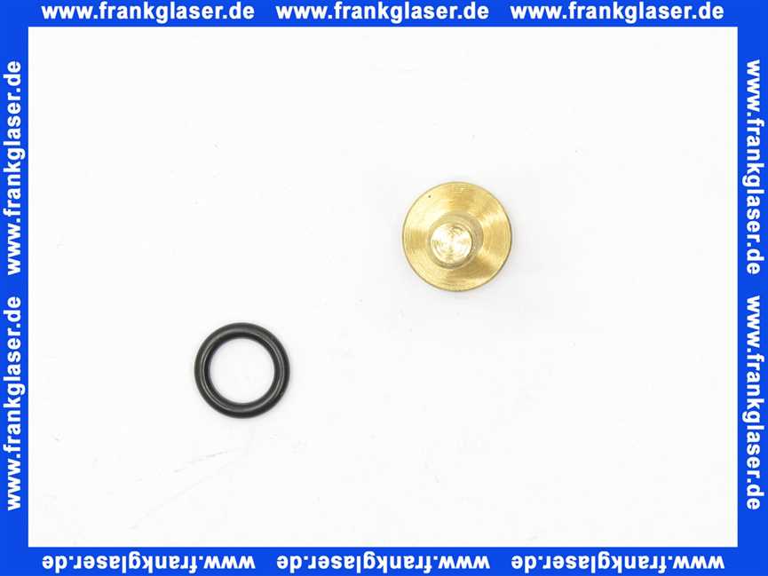 100610 Grünbeck Schraube mit O-Ring