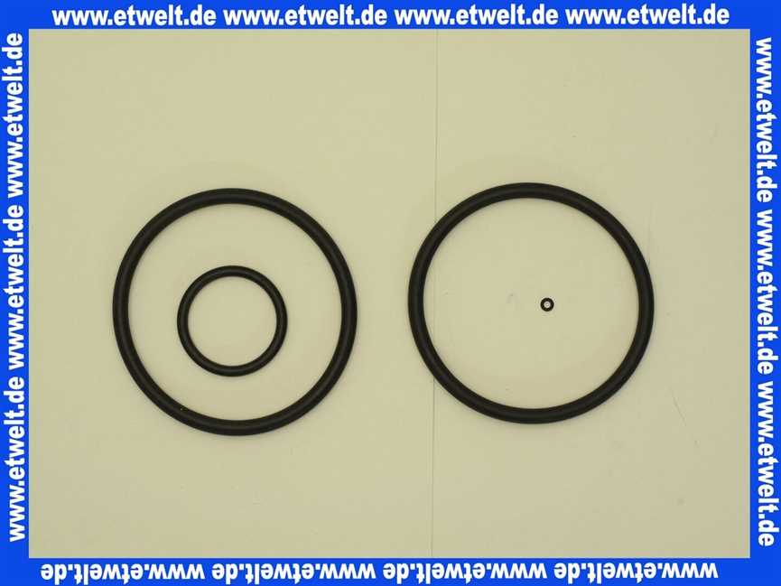 1 Grünbeck Dichtungssatz für Geno Feinfilter S 3/4 - 1 101001