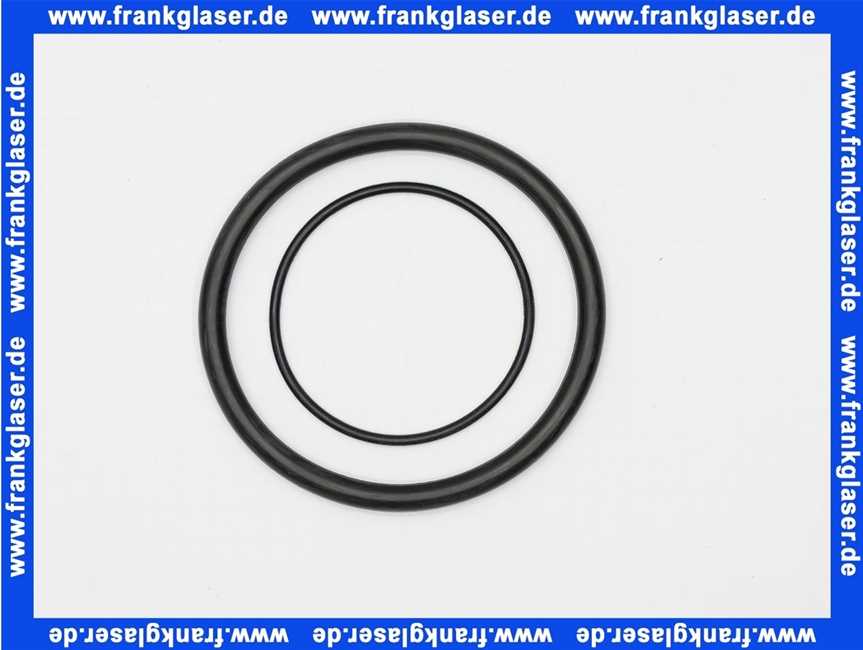 101625-E Grünbeck Dichtung für FS-B 1 1/4 Zoll