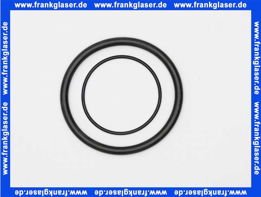 101625e Grünbeck Dichtring