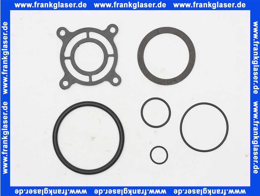 1 Grünbeck Dichtungssatz zu Boxer und Feinfilter FS-B 101635e