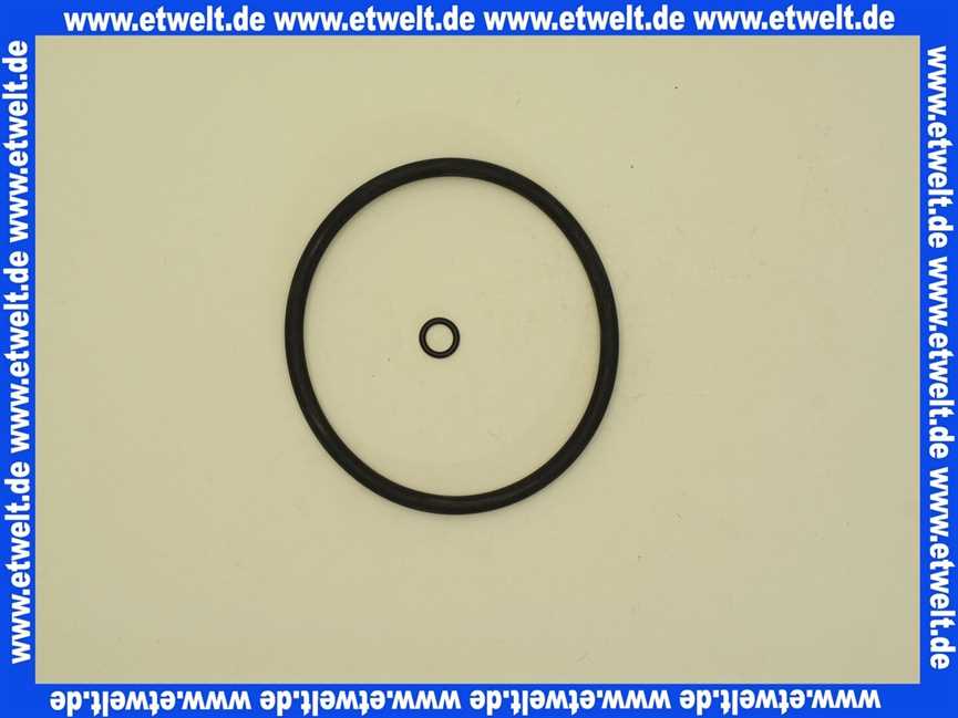 GB 105001 Gruenbeck Dichtungssatz f.Feinfilter GN 3/4 -2 Zol