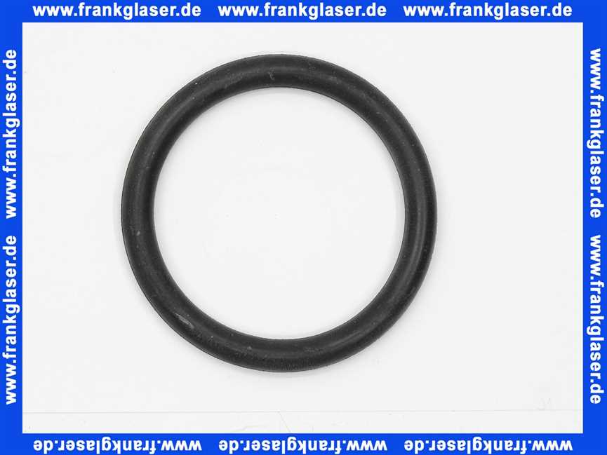 1 Dichtungsring 107660 zu Kombi Feinfilter Typ FSV