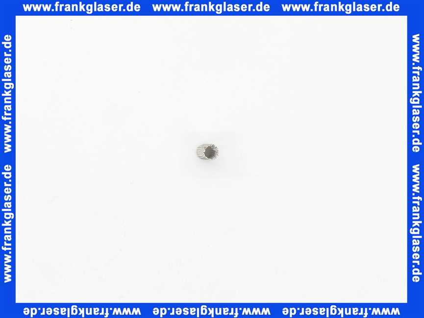 128683E Grünbeck Injektorsieb (Inhalt 1 Stück)