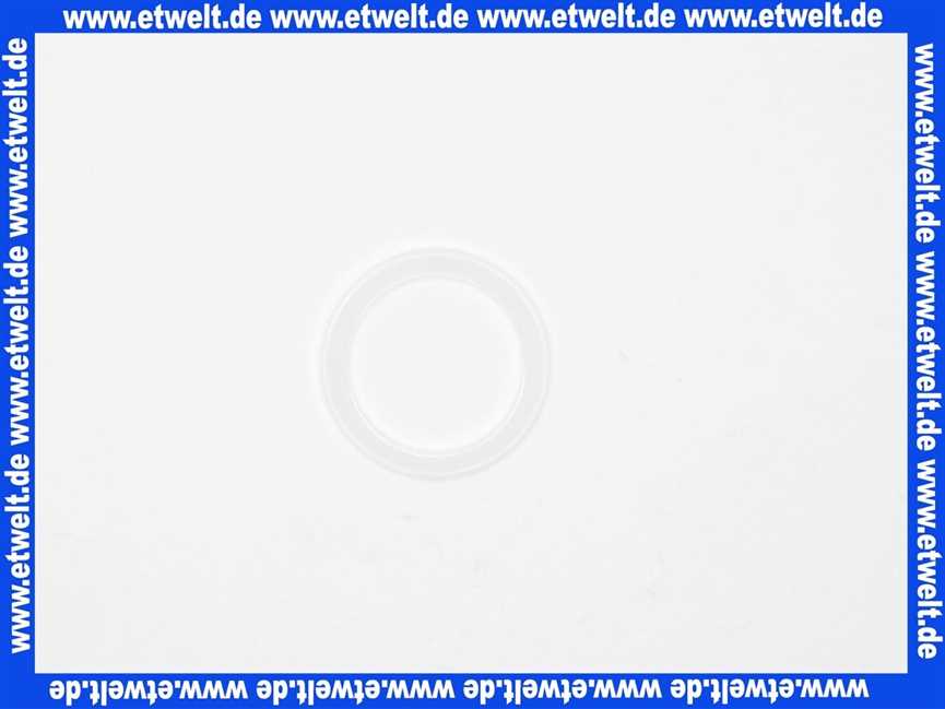 151656E Grünbeck Flachdichtung Wassermesserdichtung 1 Zoll