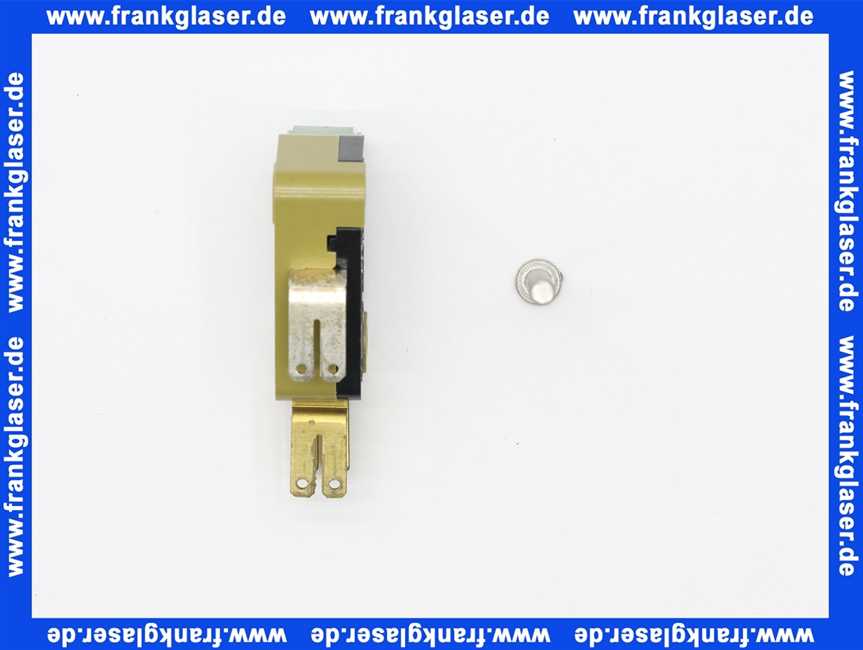 188607e Grünbeck Mikroschalter zu VGX9