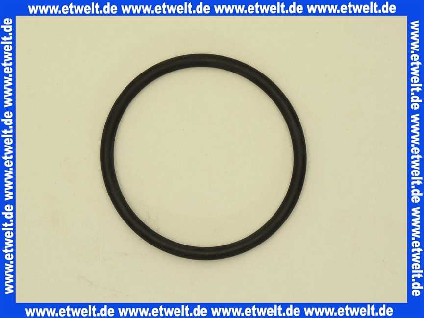 87000113 Grünbeck O-Ring 68x5
