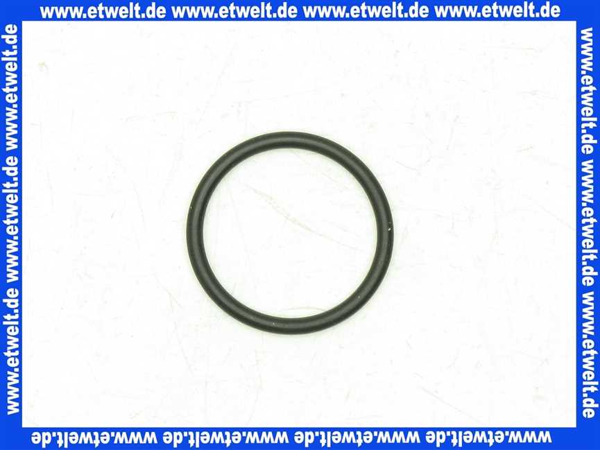 87001741 Gruenbeck O-Ring 26,64 x 2,62