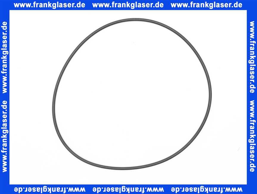 Grundfos 1 Stück O-Ring 171,04 x 3,53 EPDM 97511824