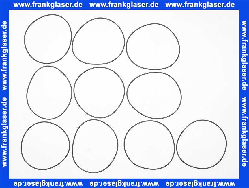 Grundfos VPE 10 St. O-Ring 171,04x3,53 EPDM 97511824