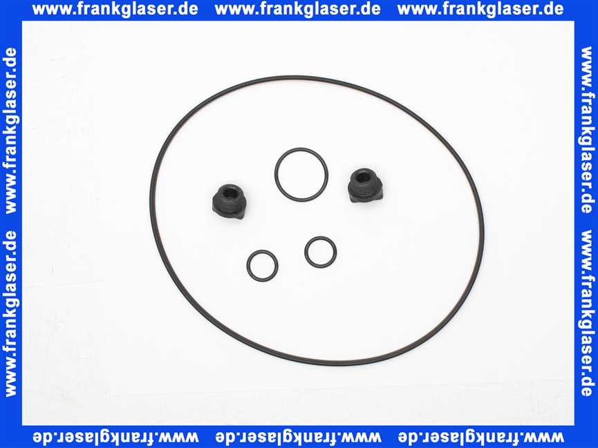 L512206 Grundfos Verschlussschraube 3/8