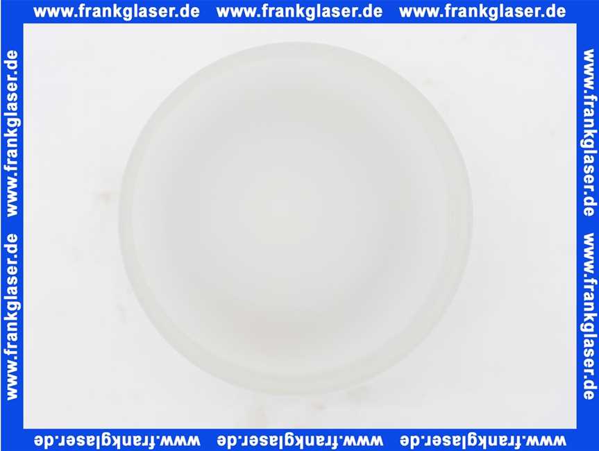 41085000 Hans Grohe WC Glaseinsatz Axor Terrano