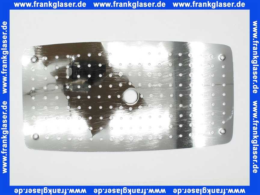 92295000 Hans Grohe Strahlscheibe Strahlplatte zu Brause komplett chrom
