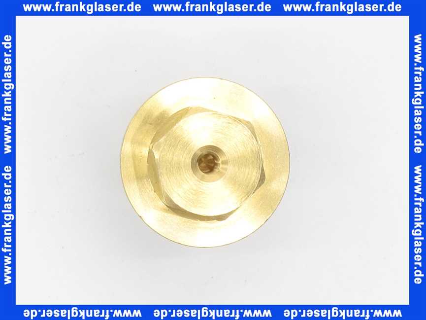 92605000 Hans Grohe Rückflußverhinderer für Thermostat 1/2 Zoll