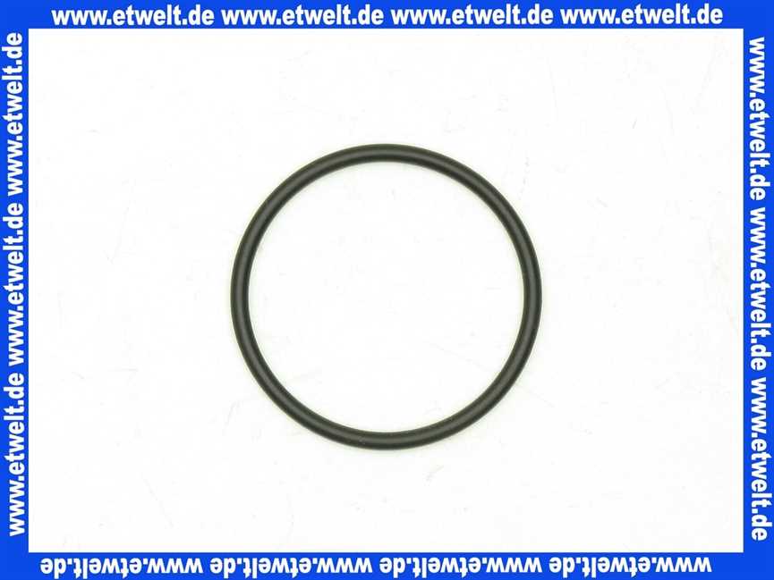 94485000 Hans Grohe O-Ring Axor für Luftsprudler