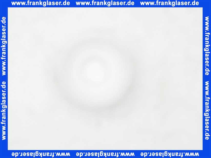 95041 Hans Grohe Stellscheibe u. Anschlagscheibe f. Duschsäule