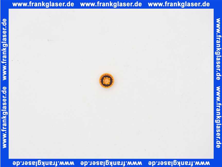 95311000 Hans Grohe Durchflussbegrenzer 5 l/min